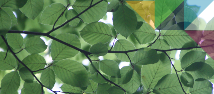The ‘environment’ for interim demand? Interim management trends in 2023