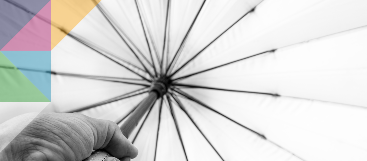 The job of a council Chief Executive...