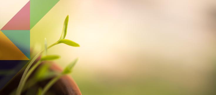 Navigating Challenge with Purpose: Insights from the ADASS Spring Seminar and the Latest Survey Results