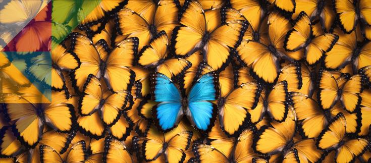 Elevate Your CV and Supporting Statement to Stand Out