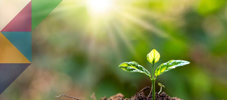 Building a Successful Workplace Wellbeing Strategy in Local Government