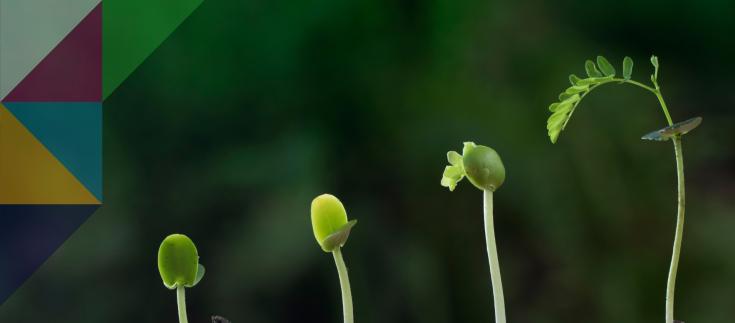 What Hiring Managers Really Look for in an Application Process