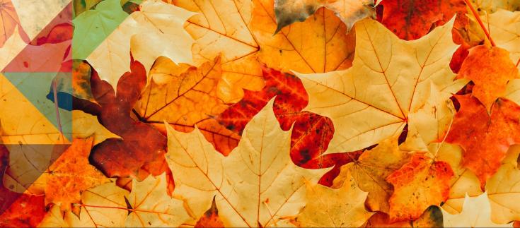 ADASS Autumn Survey: Challenges and Solutions in Adult Social Care